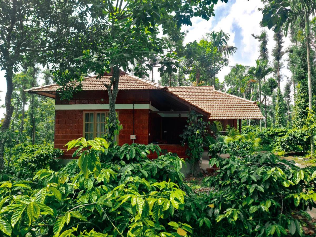 Coorg Bliss Estate Stay Madikeri Εξωτερικό φωτογραφία