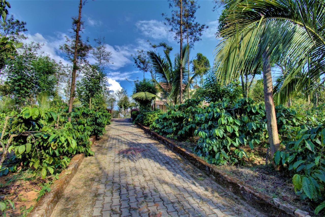 Coorg Bliss Estate Stay Madikeri Εξωτερικό φωτογραφία
